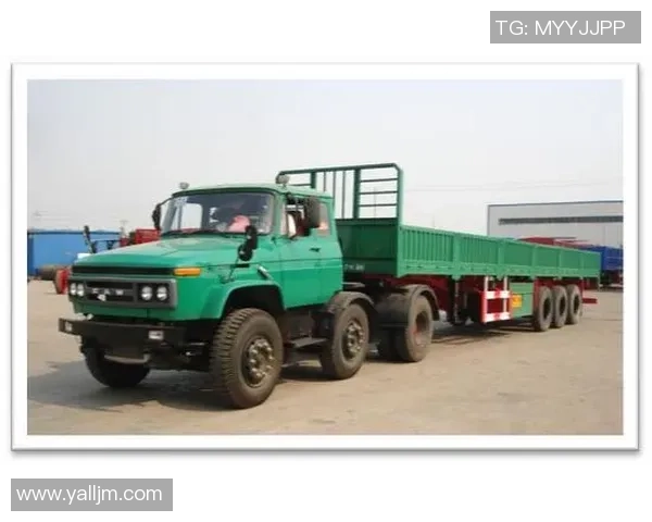 南京乒乓球队加速转型探讨:从传统到现代的全面变革之路 南京乒乓球队加速转型探讨:从传统到现代的全面变革之路